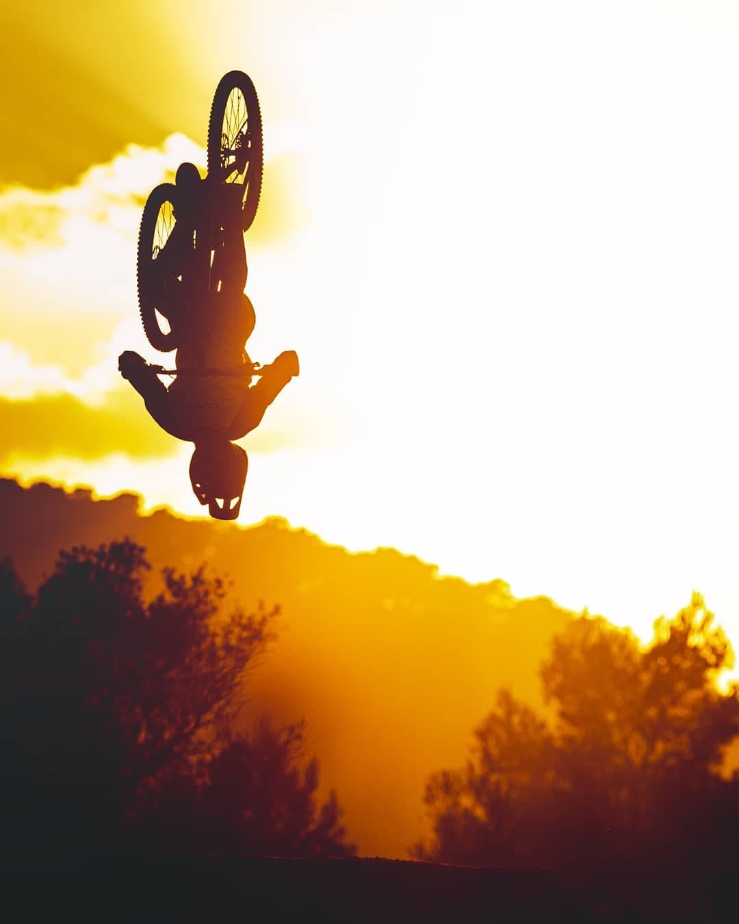 MLR Project - Escuela MTB Madrid